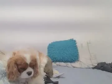 pinkypuppa – webcam model profile photo Image 12