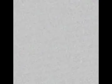 daliapunkt Image 13
