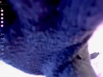 darkmousee – webcam model profile photo