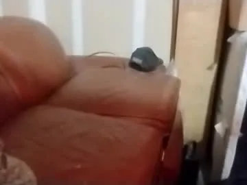 splendid_dolls – webcam model profile photo Image 6