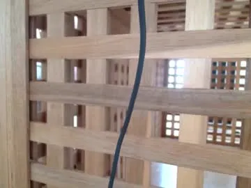 sophie_and_alis – webcam model profile photo Image 6