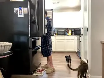 kira0541 – webcam model profile photo Image 2