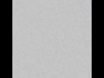 RavenFoster – webcam model profile photo Image 6