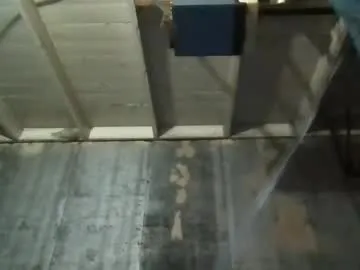 loving_ladies – webcam model profile photo Image 16