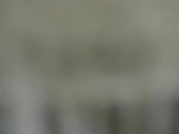 ElizabethThaylor – webcam model profile photo Image 18