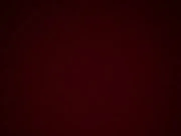 loving_ladies – webcam model profile photo Image 12