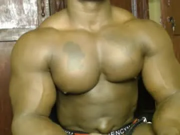 splendid_dolls – webcam model profile photo Image 11