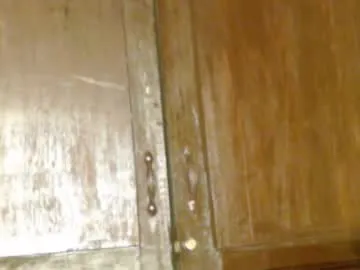 splendid_dolls – webcam model profile photo Image 19