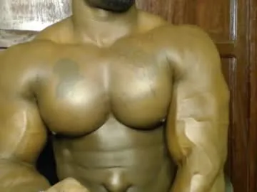 splendid_dolls – webcam model profile photo Image 8