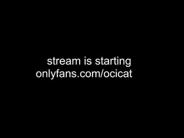 ocicat Image 12