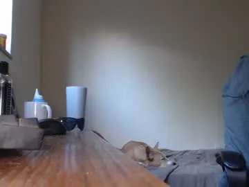 hotbella_ – webcam model profile photo Image 6