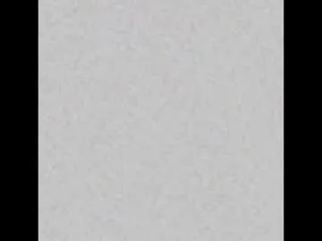 splendid_dolls – webcam model profile photo Image 9