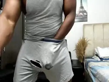 splendid_dolls – webcam model profile photo Image 19