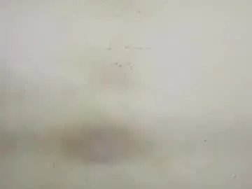 loving_ladies – webcam model profile photo Image 16