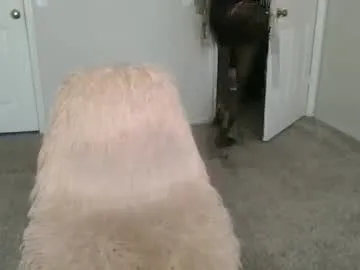 lustsaint – webcam model profile photo Image 17