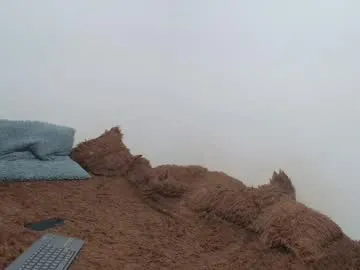 your_dolls – webcam model profile photo Image 13