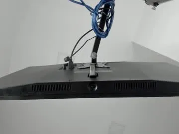 splendid_dolls – webcam model profile photo Image 13