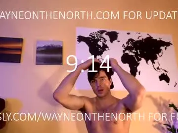 waynenorth Image 14
