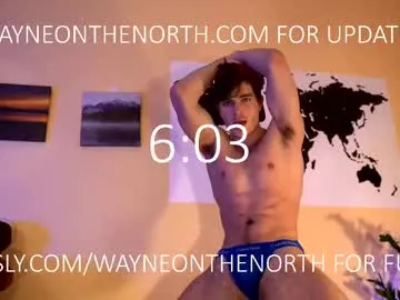 waynenorth Image 17