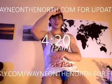 waynenorth Image 19