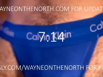 waynenorth Image 8