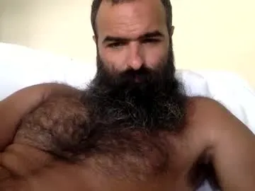 woof_wolf37 Image 14