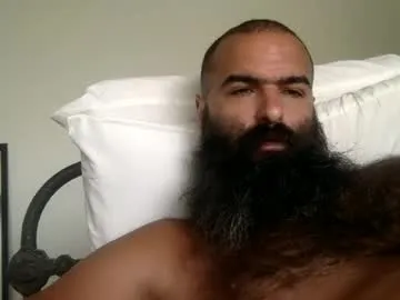 woof_wolf37 Image 16