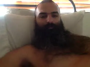 woof_wolf37 Image 3