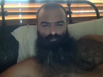 woof_wolf37 Image 8